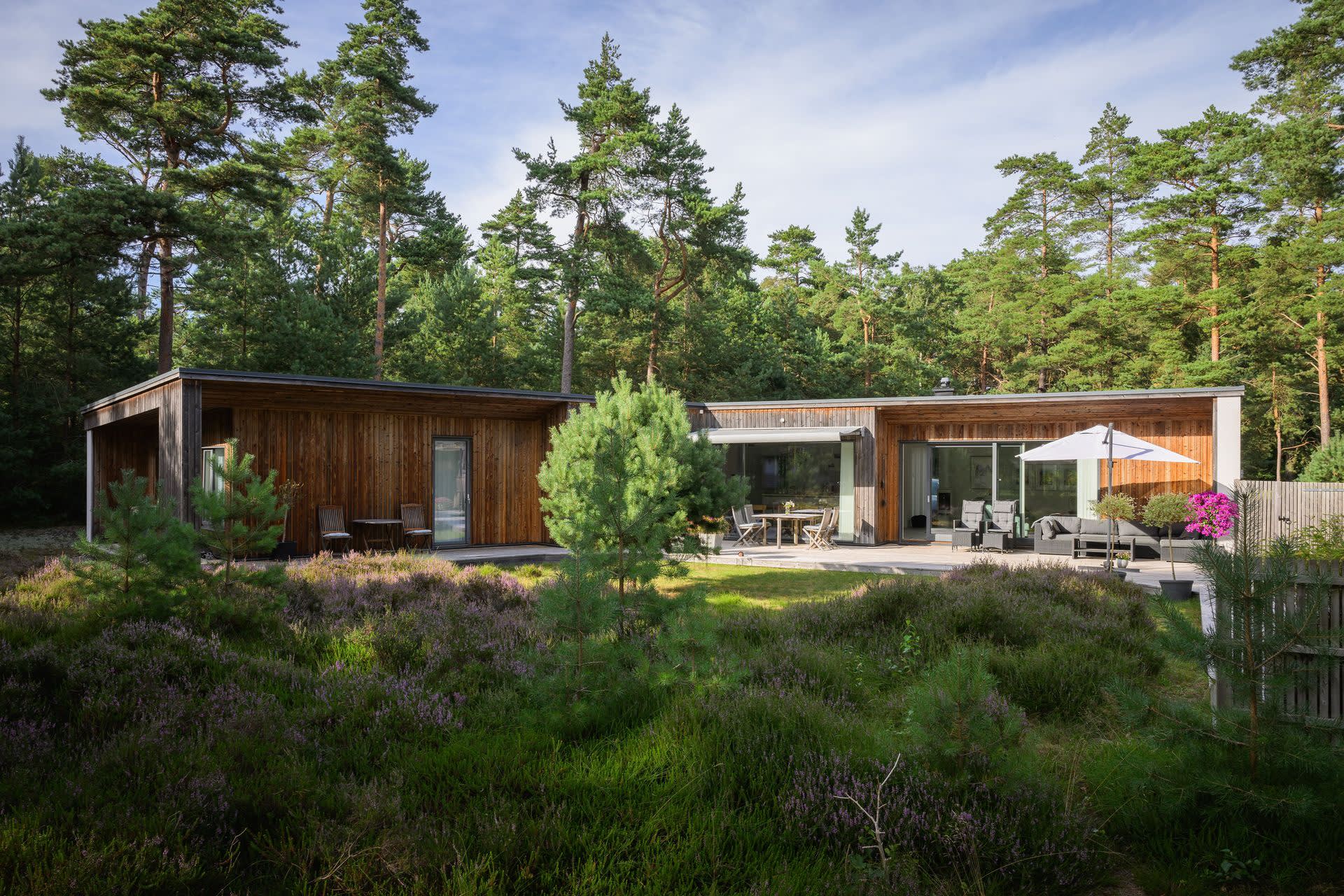 Ljunghusen är stället där himlen möter havet, men samtidigt ger det s.k storvägsområdet massor av intryck från den områdestypiska floran