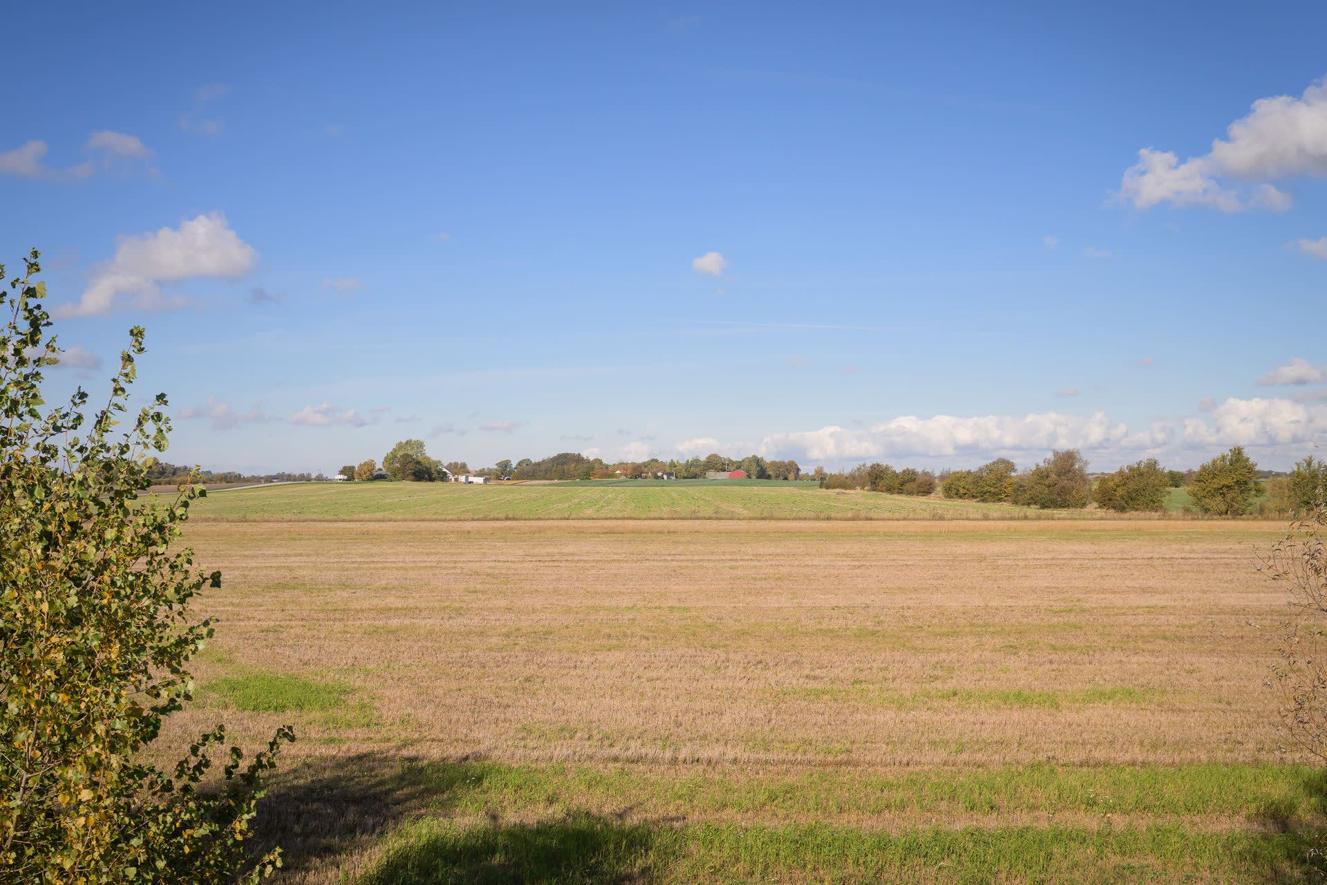 Utsikten över de skånska åkrarna bjuder på en vacker panoramavy med böljande landskap och frodiga gröna fält