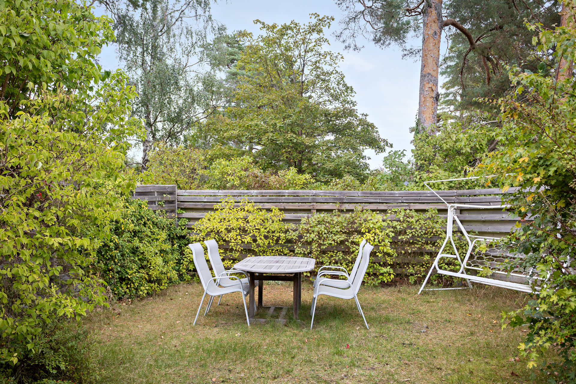 Trädgård med plats för loungehörna eller matbordsgrupp