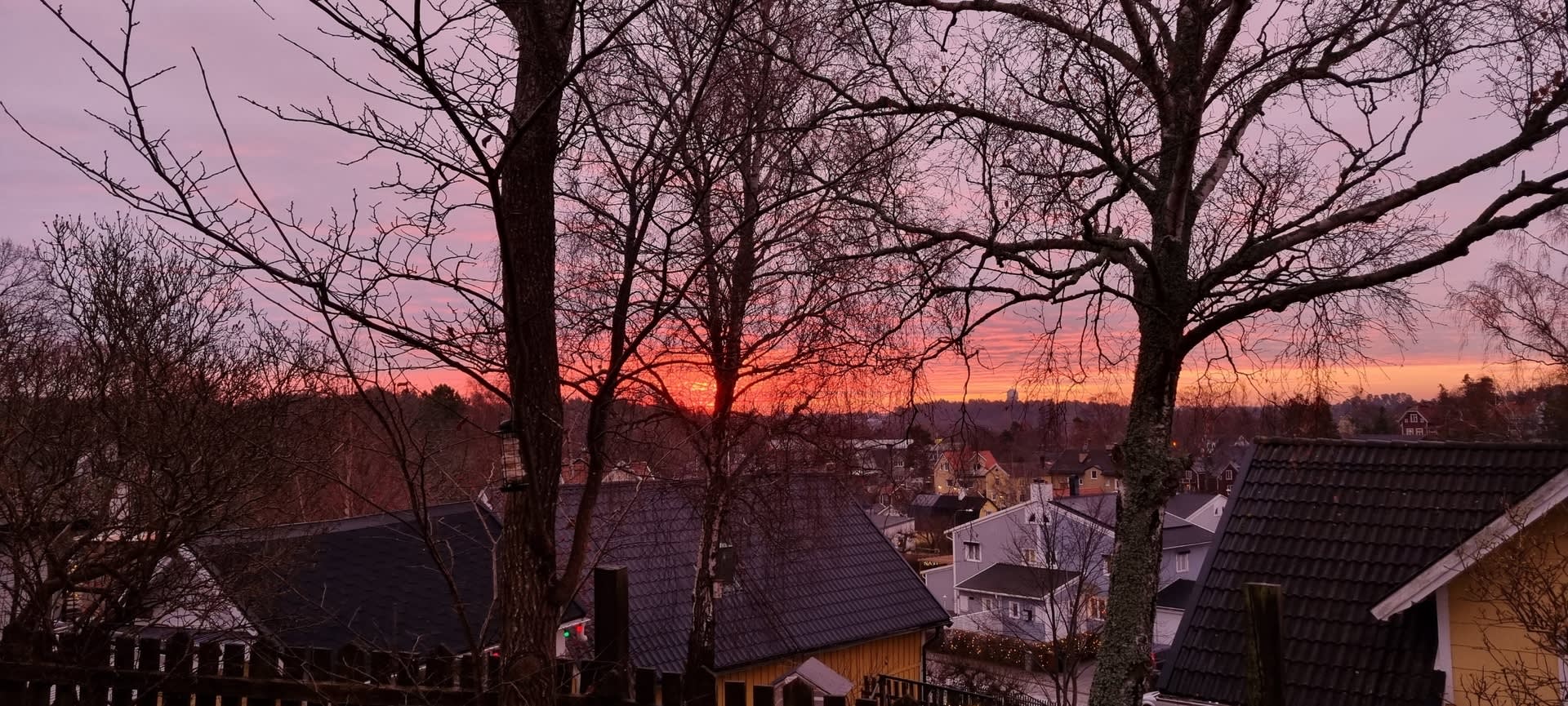 Säljarens bild