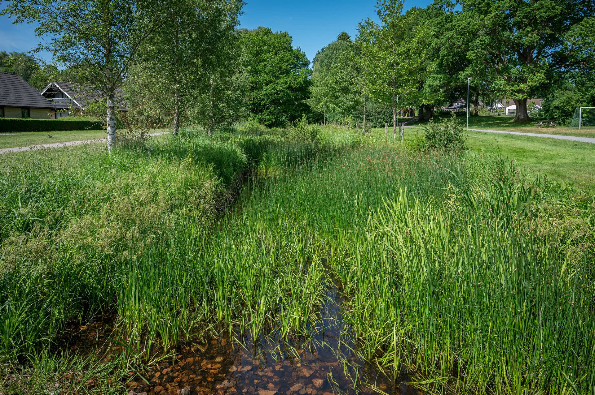 Park i närområdet