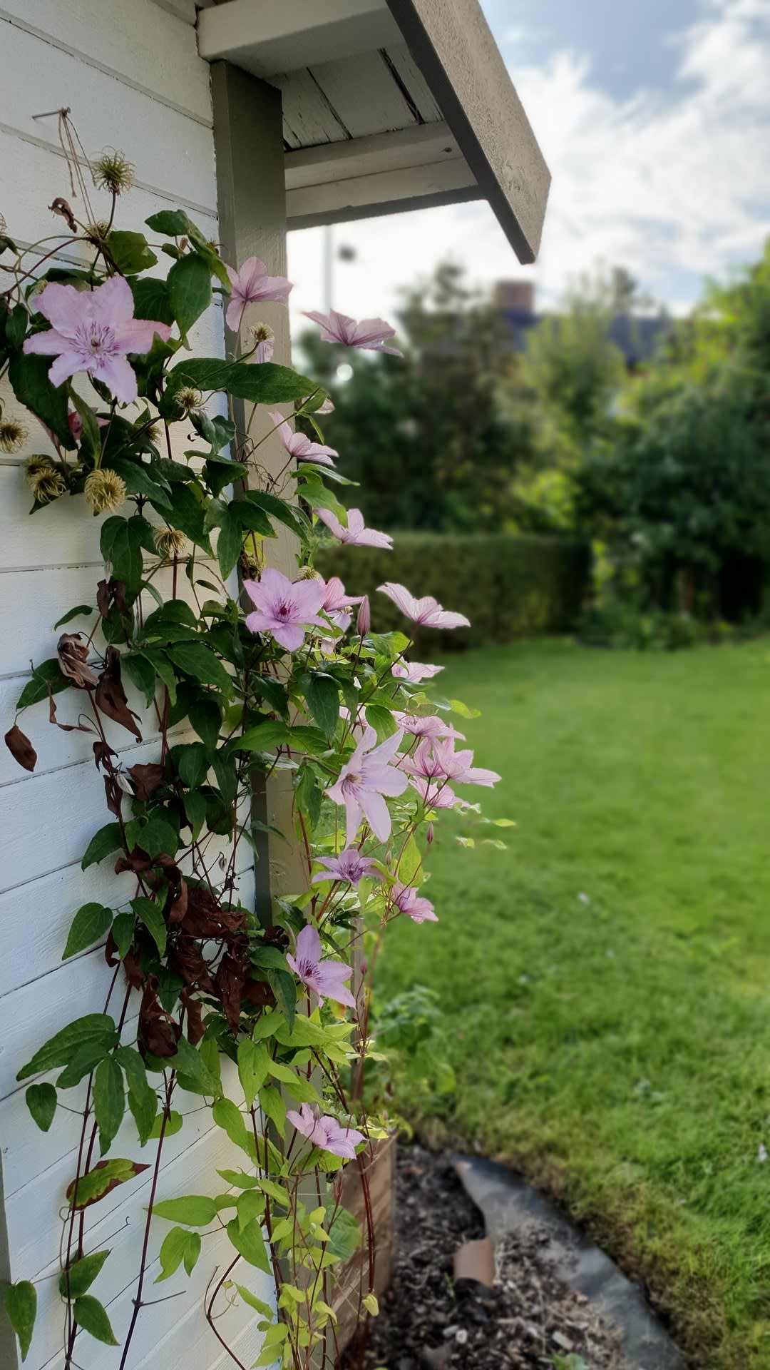 Säljarens egna sommarbild