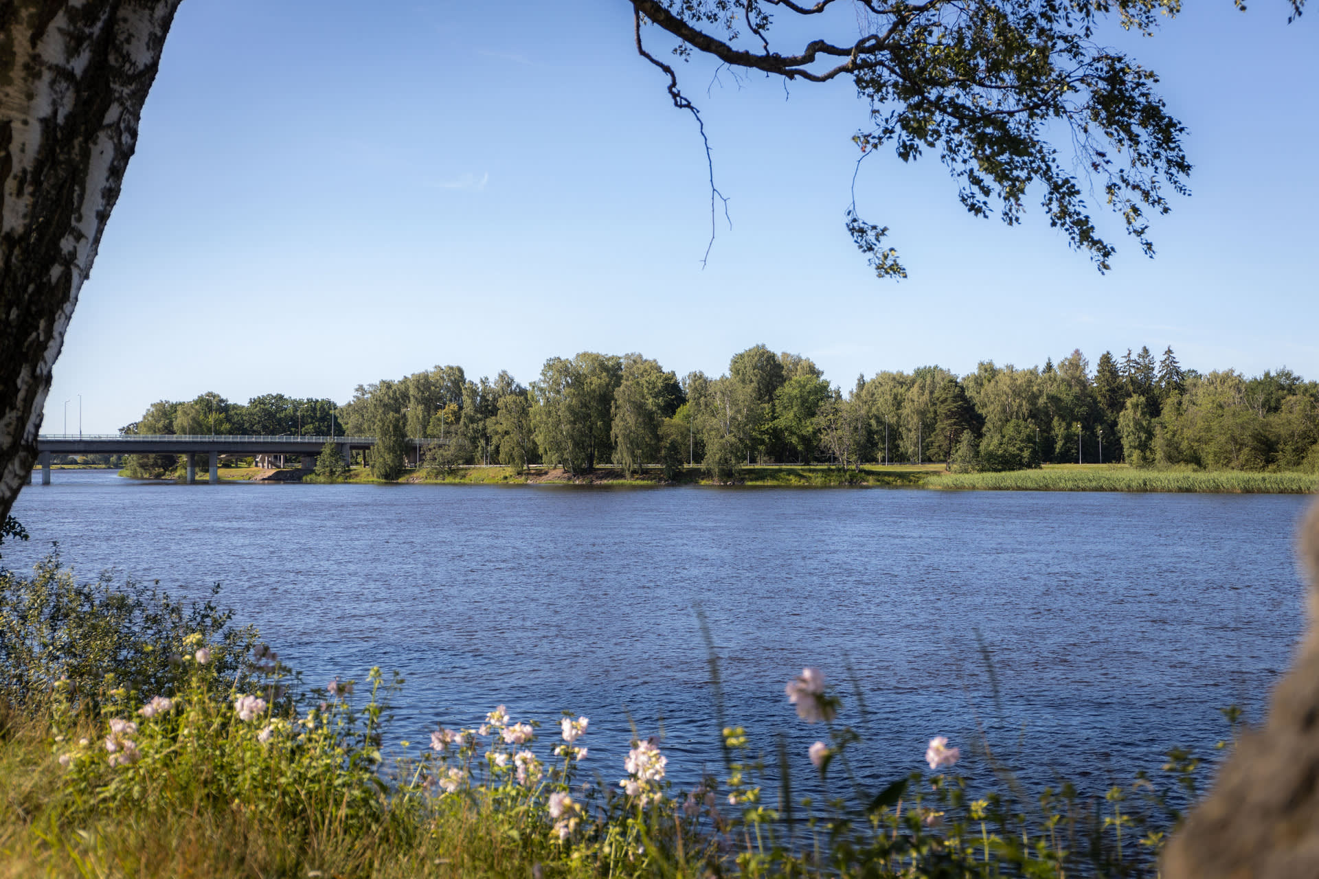 Närhet till vatten på Dammgatan