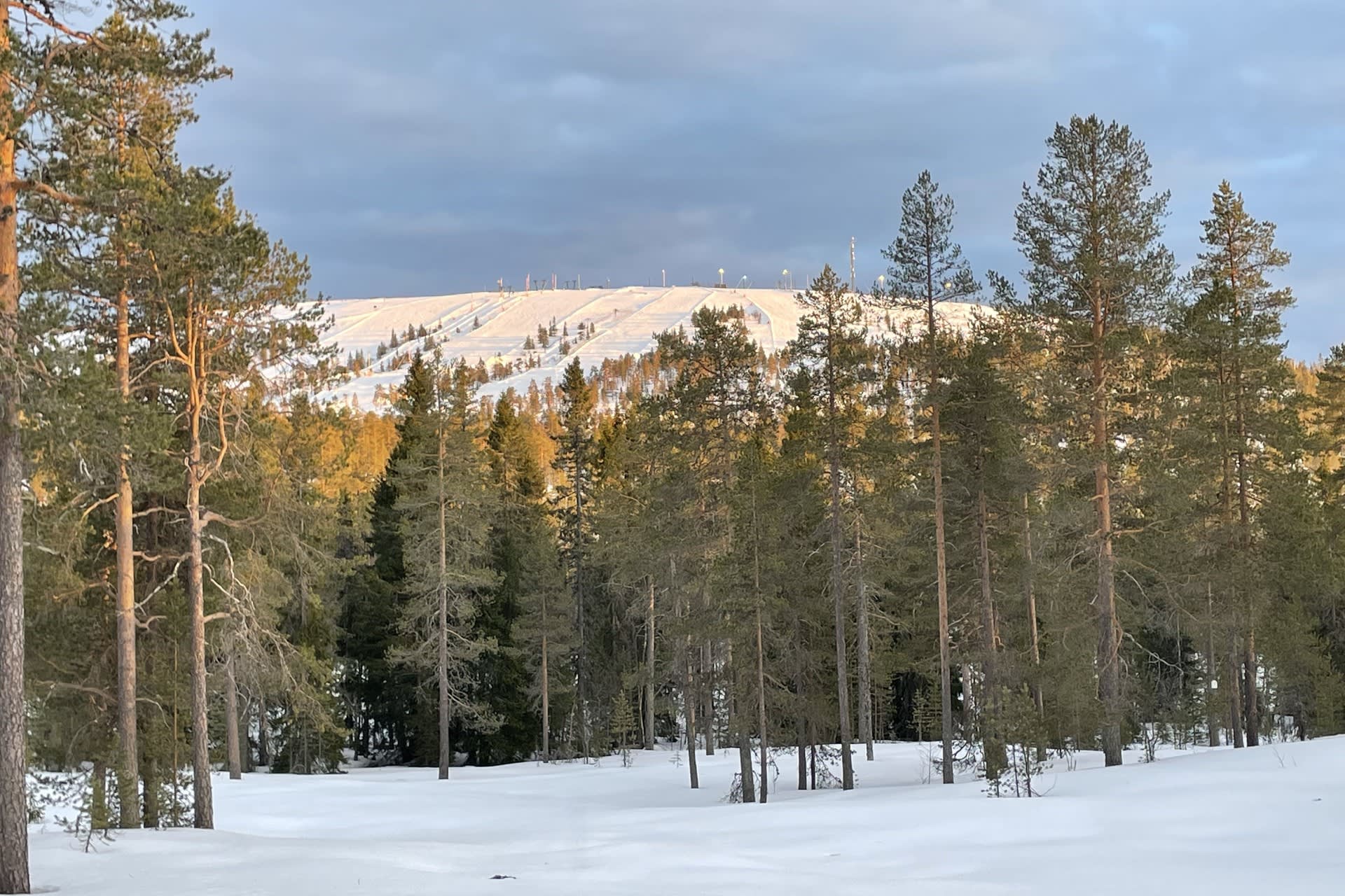 Säljarens bild - Vinterutsikt mot backen