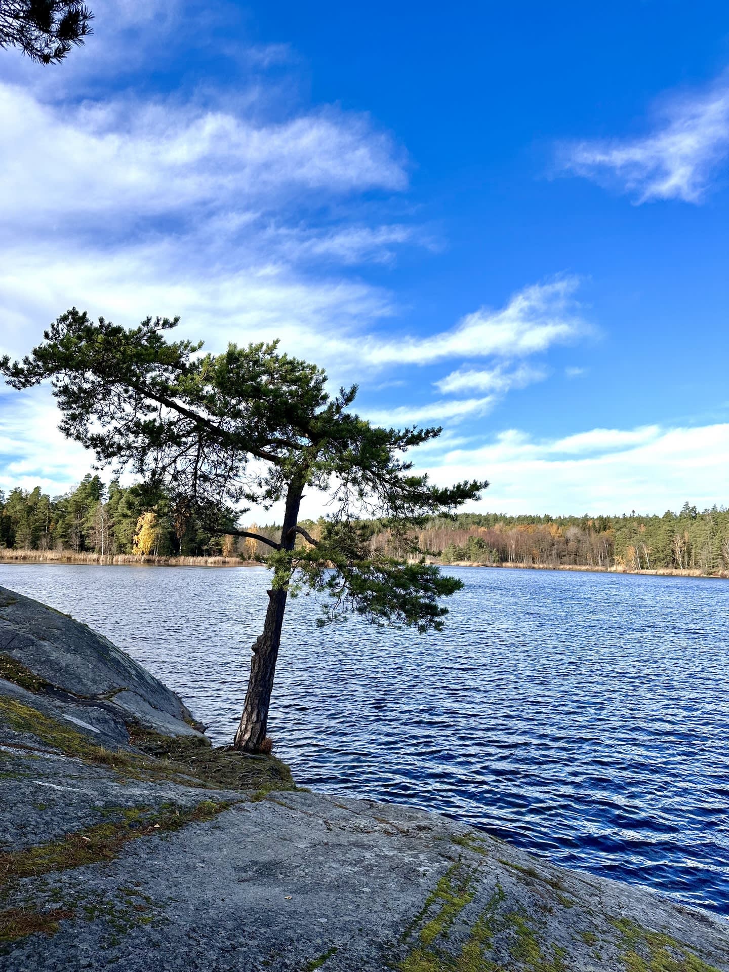 Områdesbild - Öringesjön