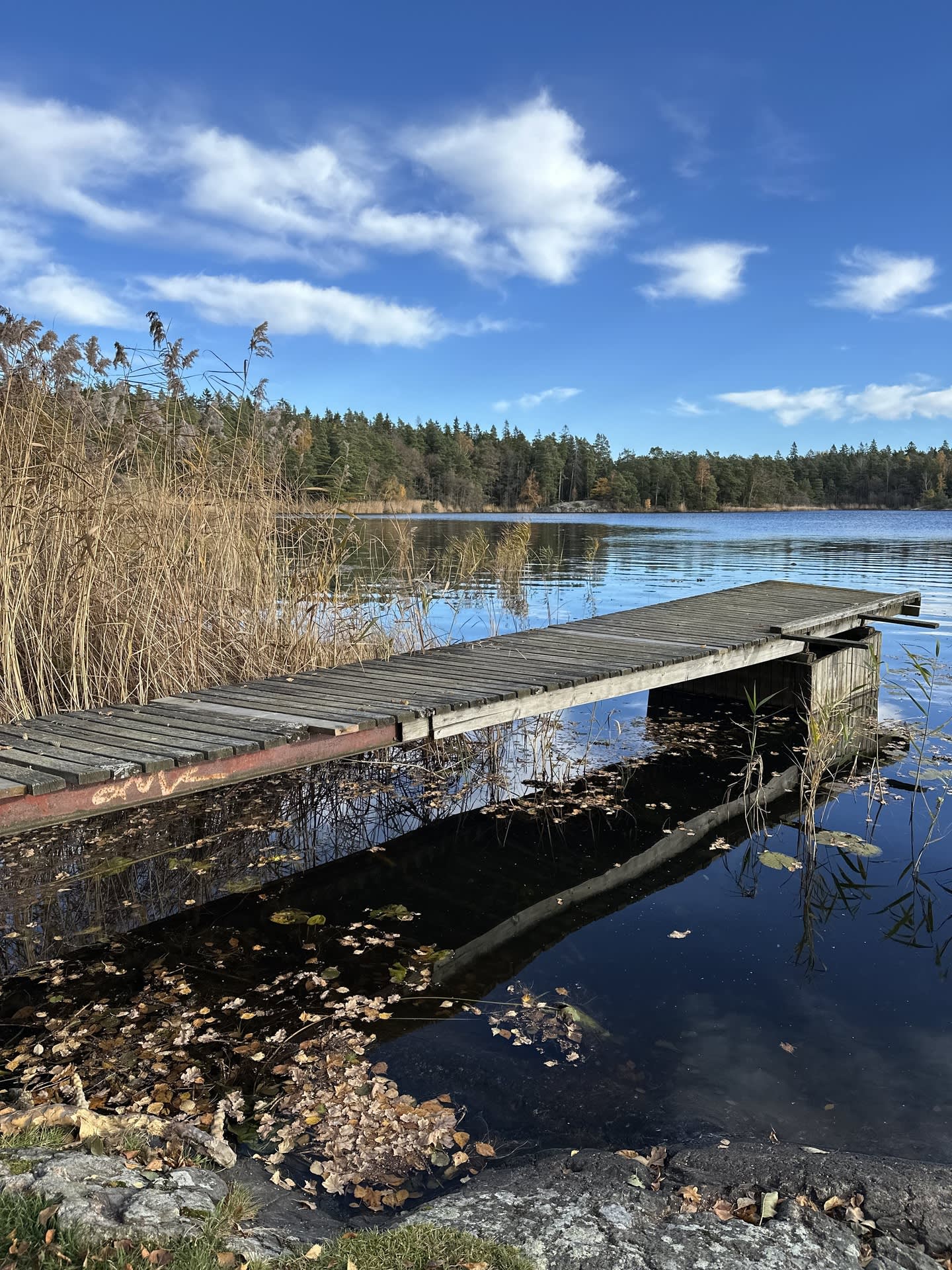 Områdesbild - Öringesjön