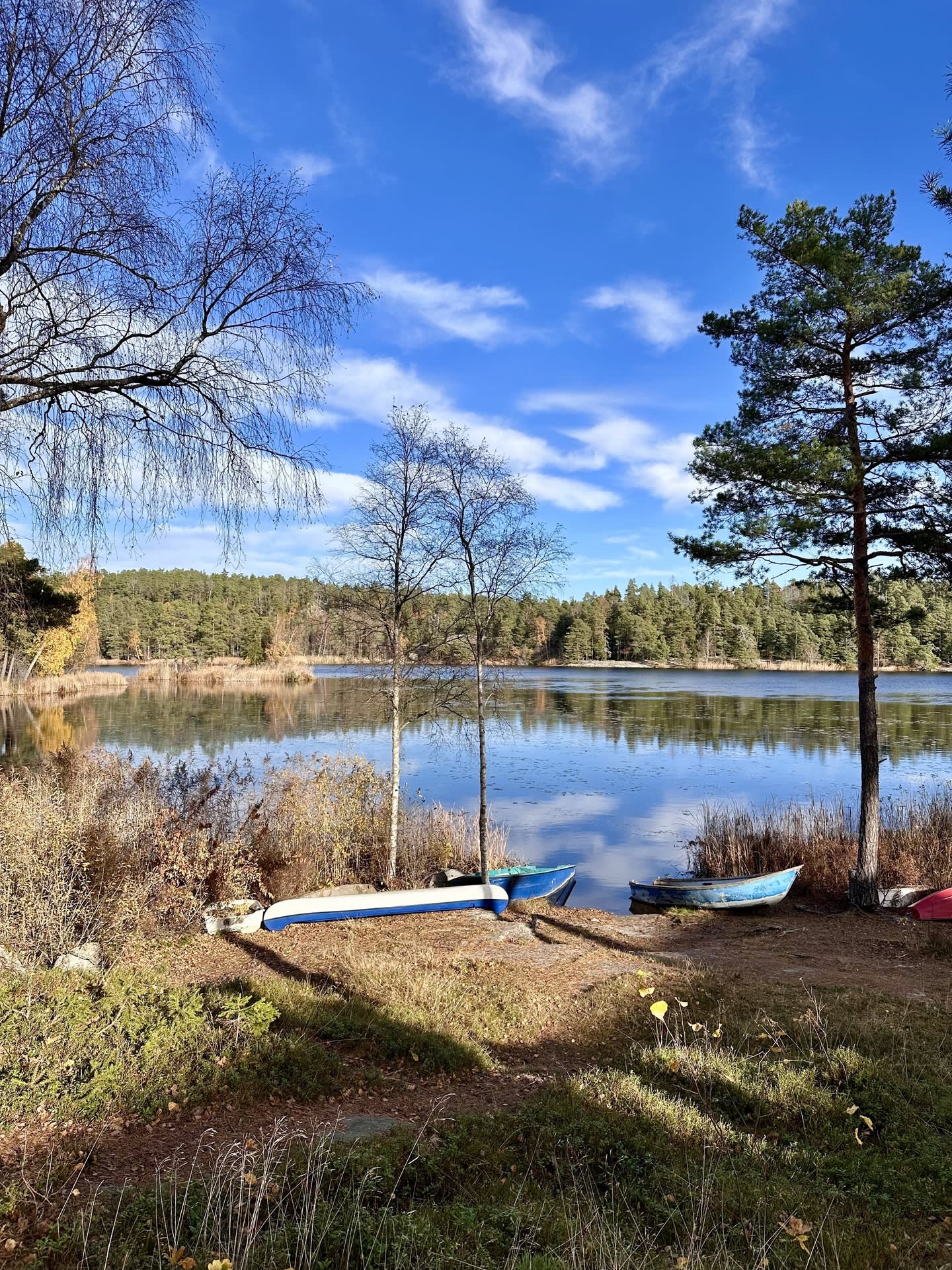 Områdesbild - Öringesjön