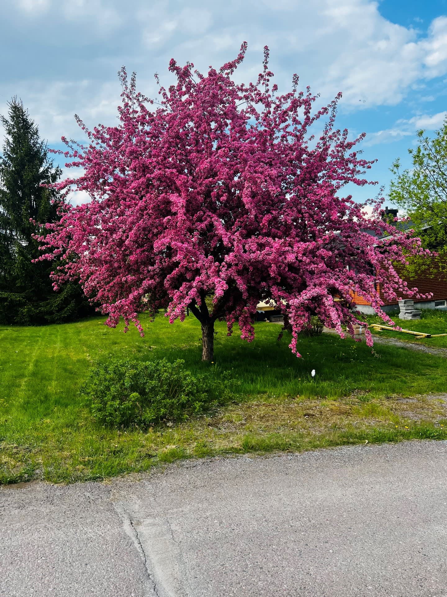 Säljarens bilder