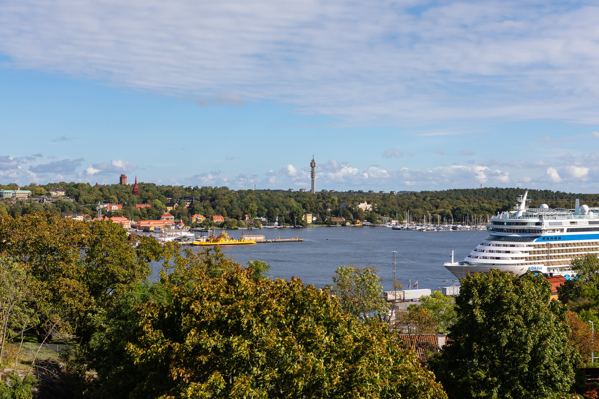 Milsvid utsikt från terrassen