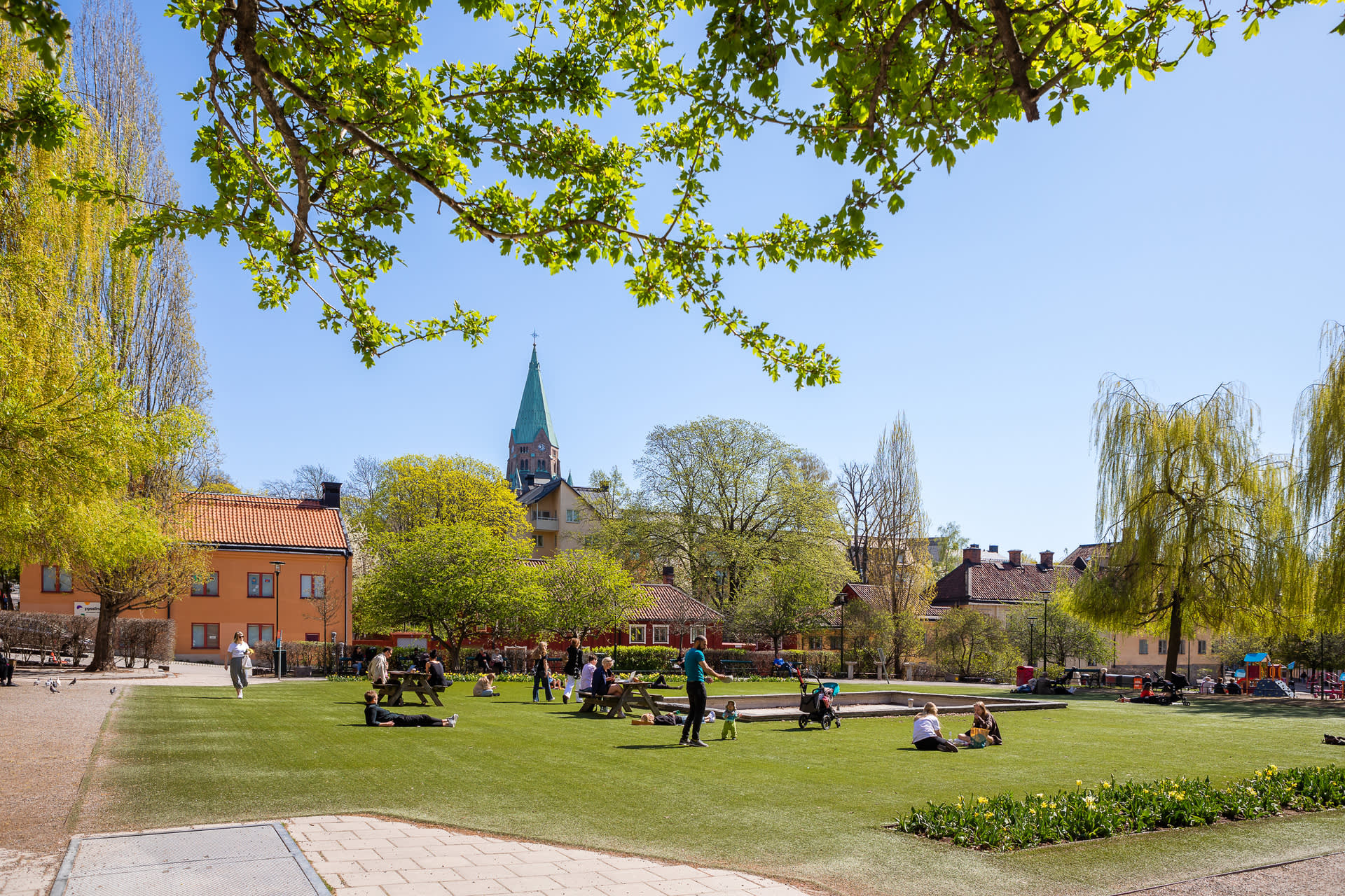 Nytorget på tio minuter