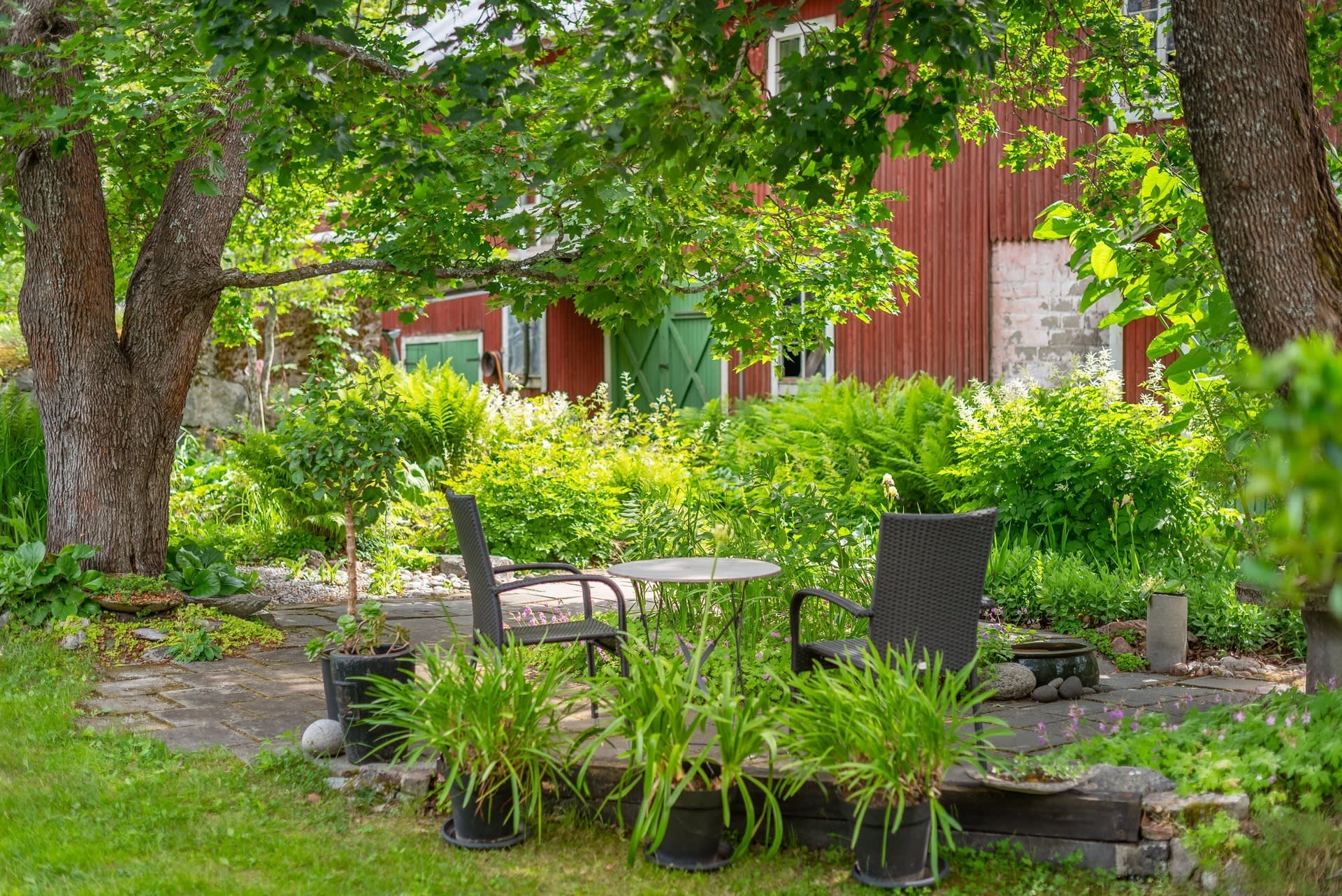 Njutbart plats på gården under träden.