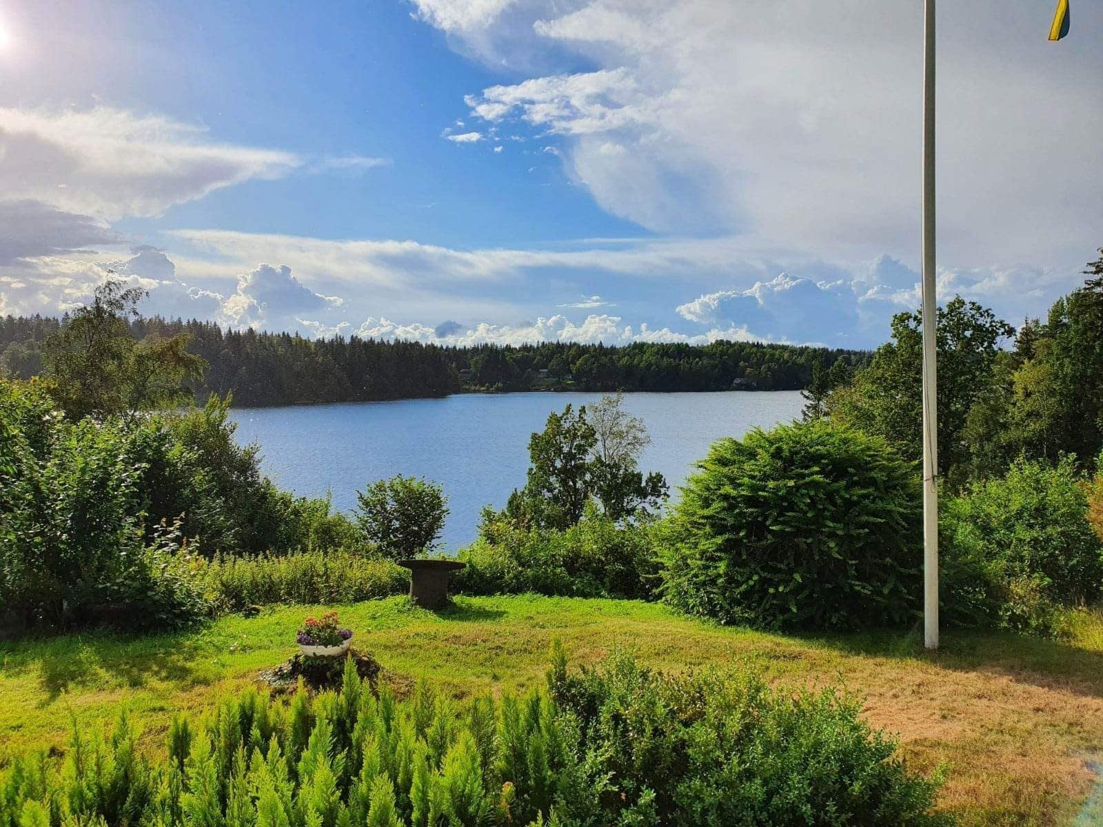 Säljarensbild från trädgård